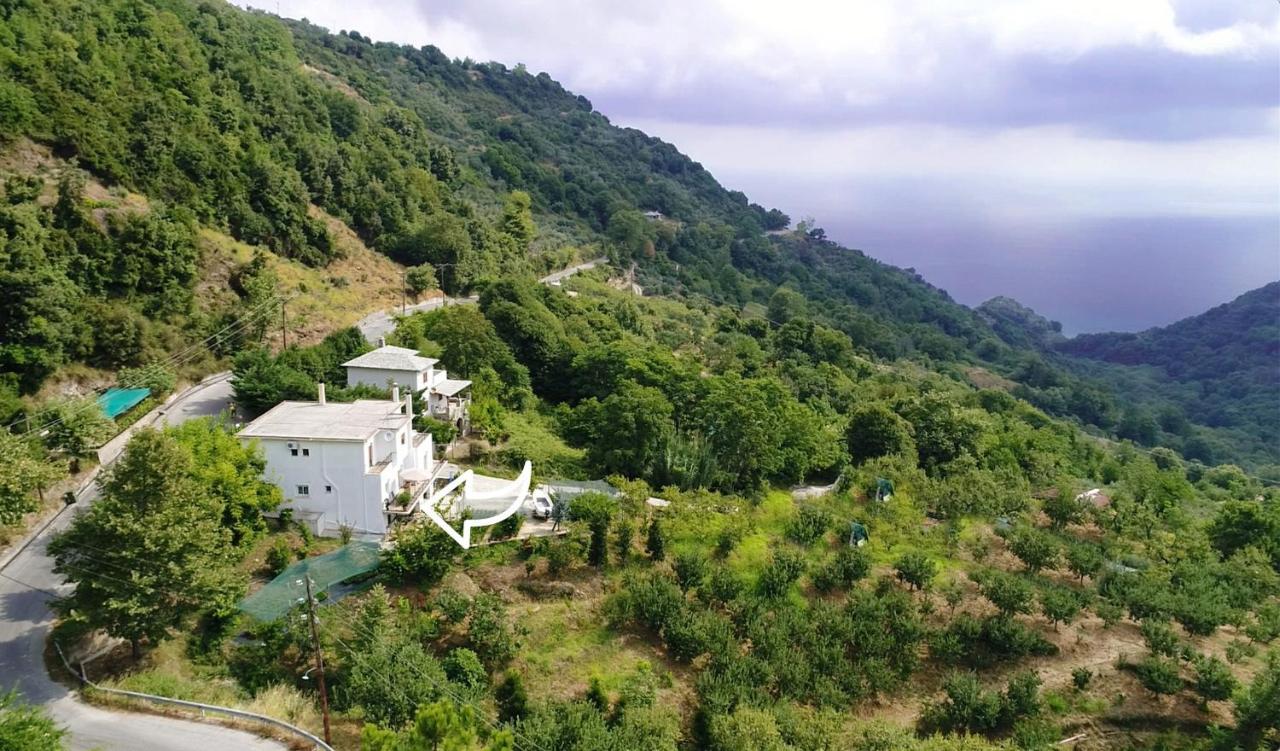 D & K Guest House Makrirrákhi Екстериор снимка